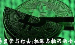 虚拟币监管与打击：机遇与挑战的全面解析